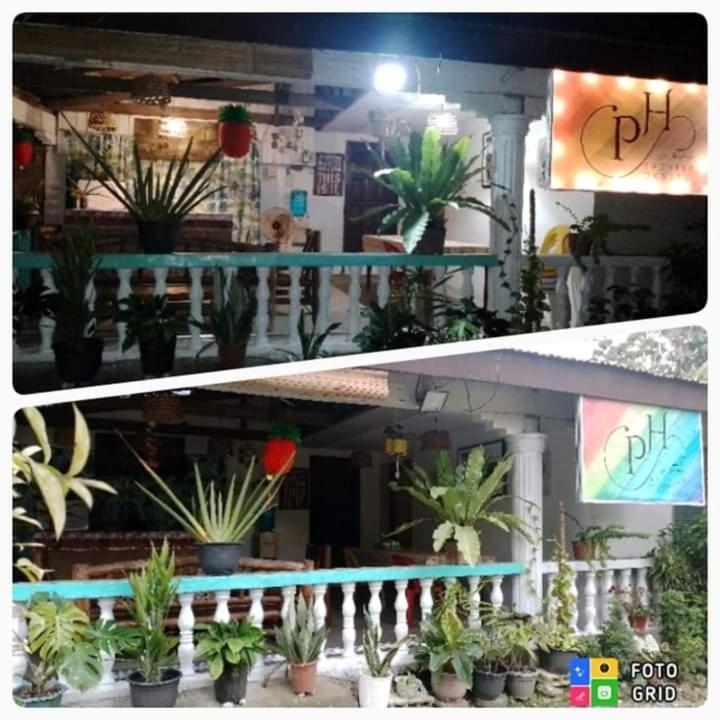 Paraiso Hostel Moalboal Exterior foto